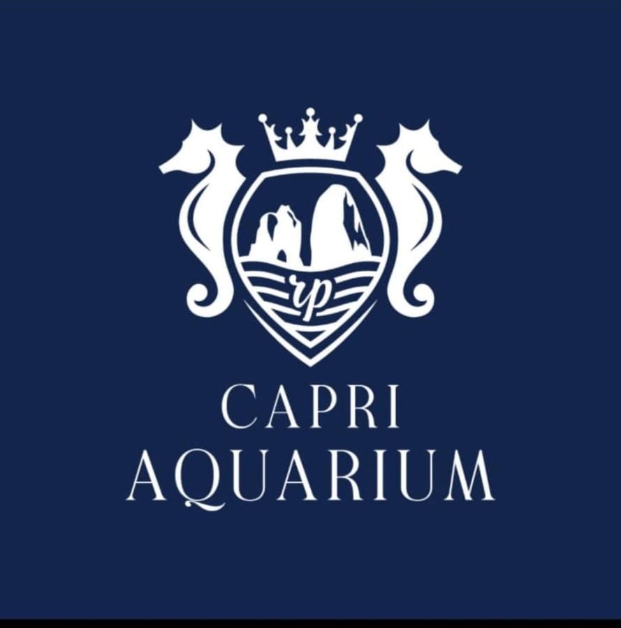 Capri Aquarium Family - Vacation Home Dış mekan fotoğraf
