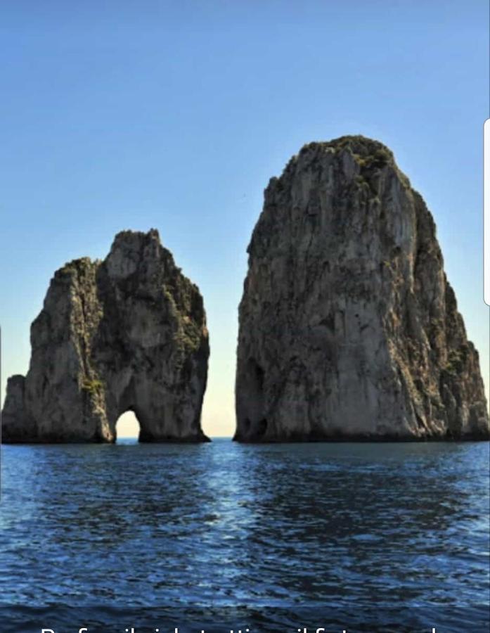 Capri Aquarium Family - Vacation Home Dış mekan fotoğraf